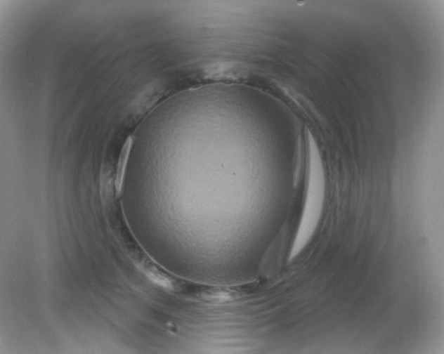 X0000081620513200701291456