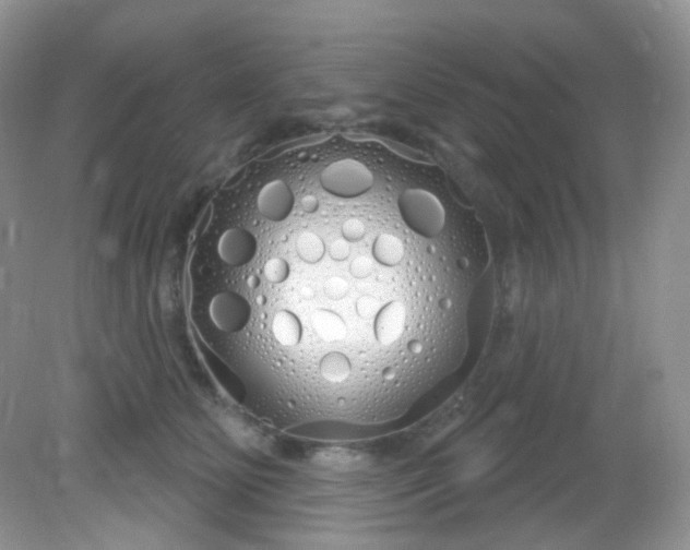 X0000081620515200701291456