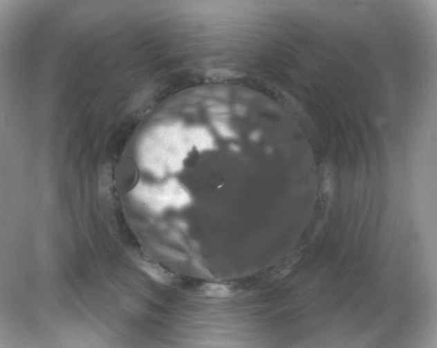 X0000081620519200701291456
