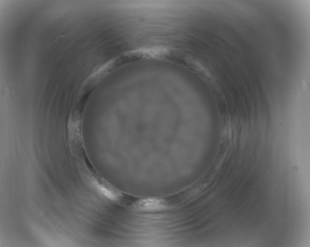 X0000081620526200701291456
