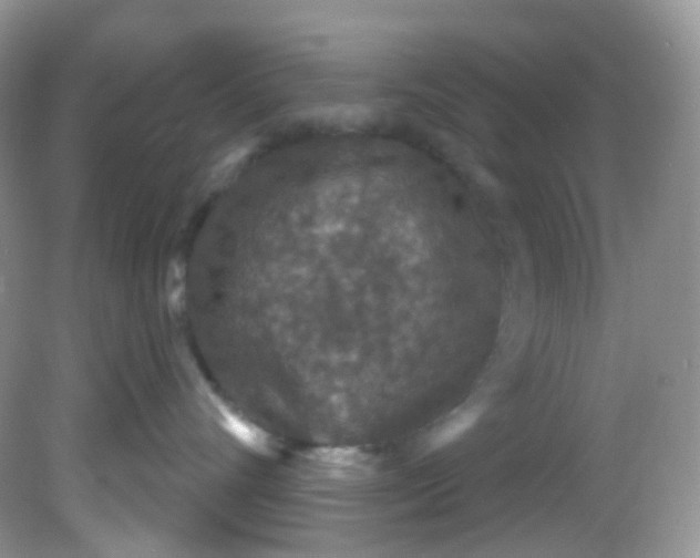 X0000081620528200701291456