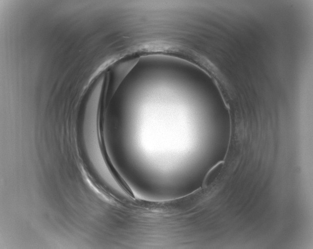X0000081620530200701291455