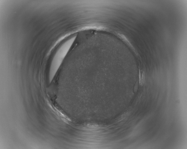 X0000081620531200701291455