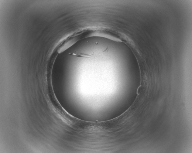 X0000081620535200701291455