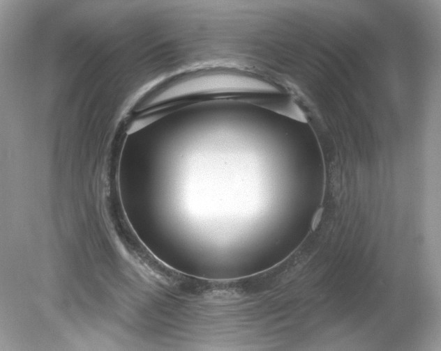 X0000081620536200701291455