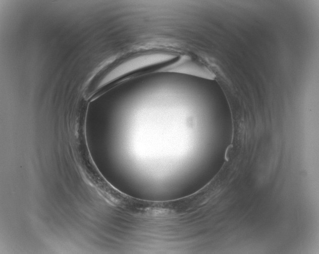 X0000081620539200701291455
