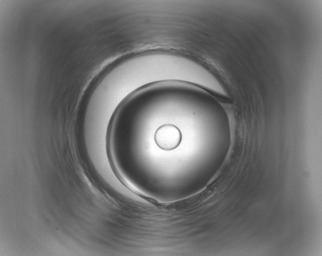 X0000081620540200701291455