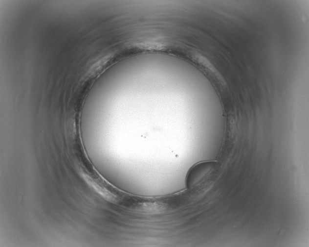 X0000081620541200701291455