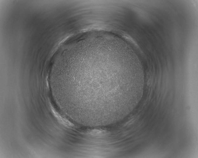 X0000081620542200701291455