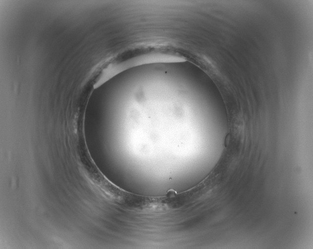 X0000081620543200701291455