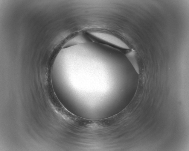 X0000081620544200701291455
