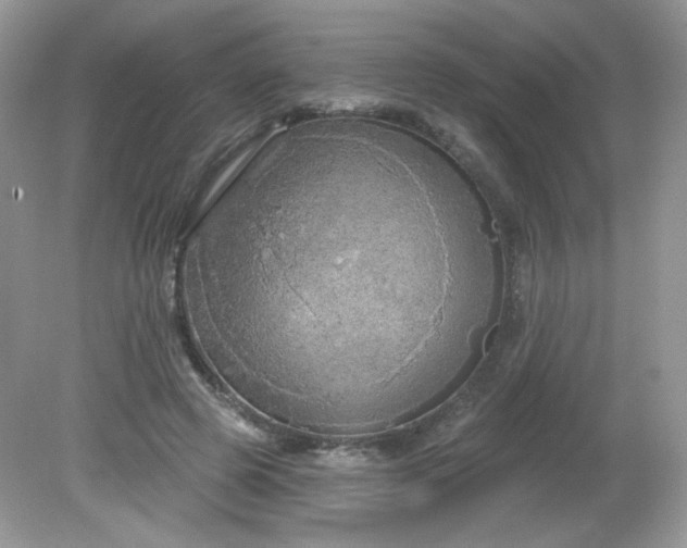 X0000081620545200701291455