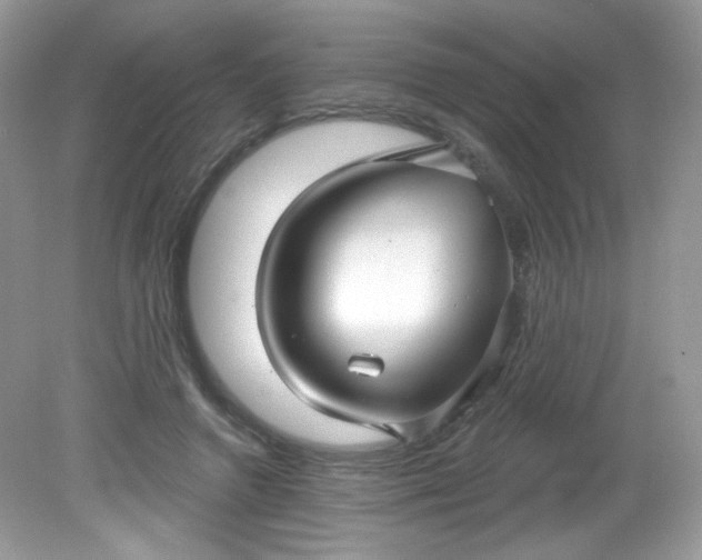 X0000081620546200701291455