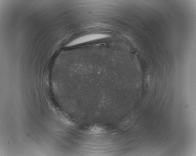 X0000081620547200701291455