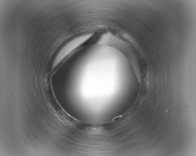 X0000081620548200701291455