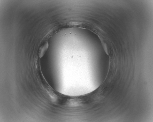 X0000081620556200701291456