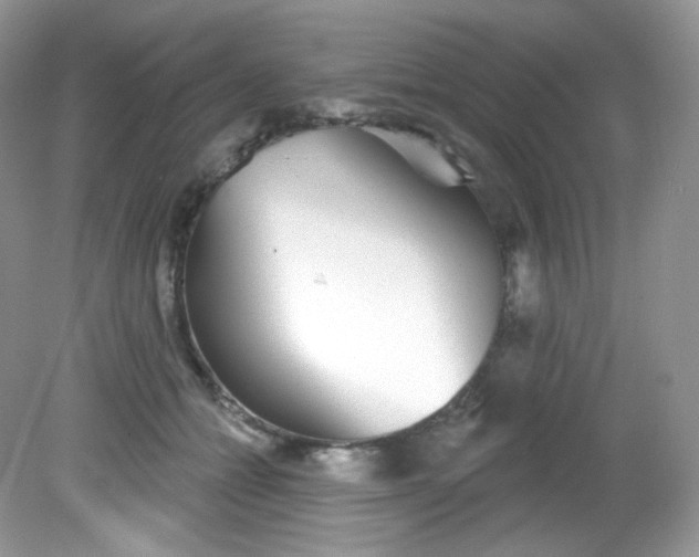 X0000081620558200701291456