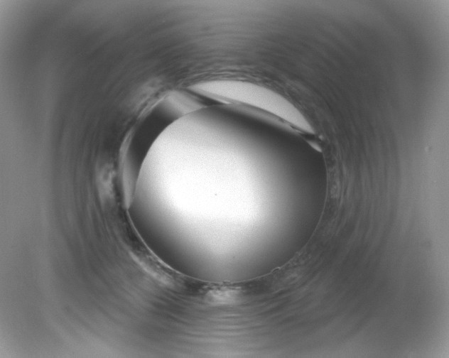 X0000081620560200701291456