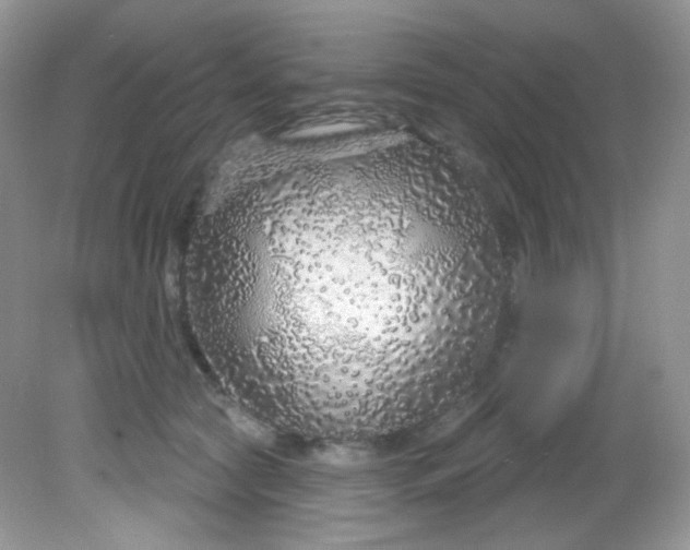 X0000081620561200701291456