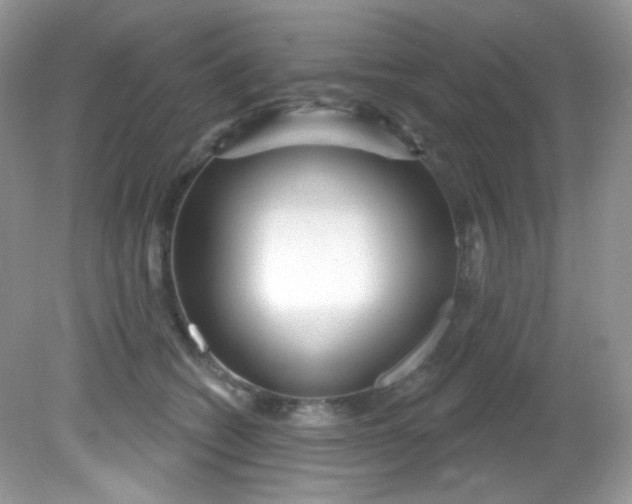 X0000081620562200701291456