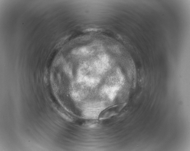 X0000081620563200701291456