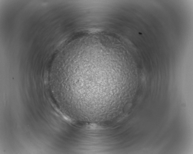 X0000081620565200701291456