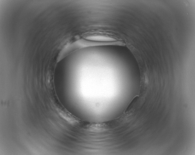 X0000081620567200701291456