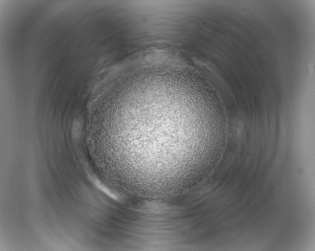X0000081620568200701291456