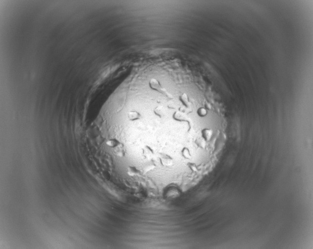 X0000081620569200701291456