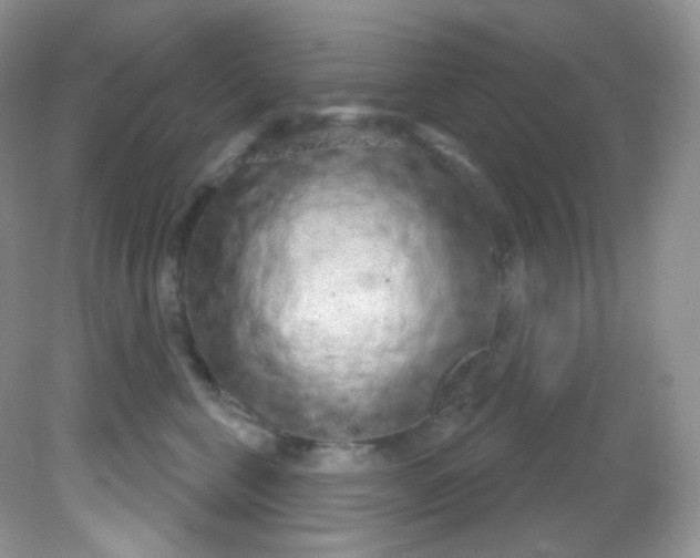 X0000081620571200701291456