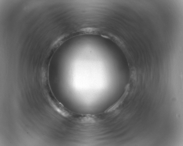 X0000081620572200701291456