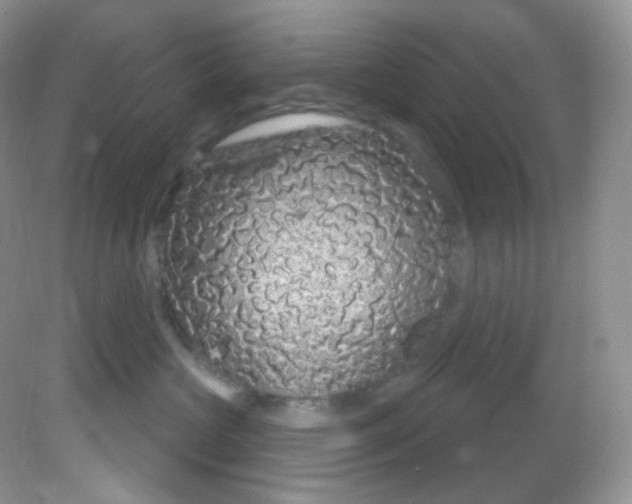 X0000081620573200701291456