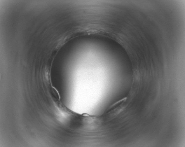 X0000081620575200701291456