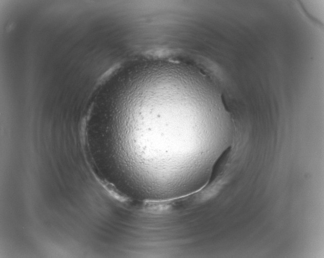 X0000081620576200701291456