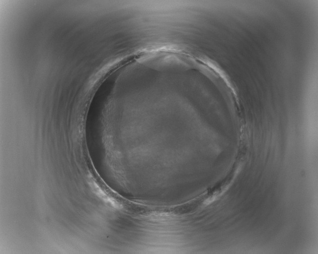 X0000081620577200701291455