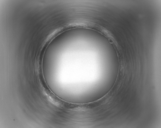 X0000081620578200701291455