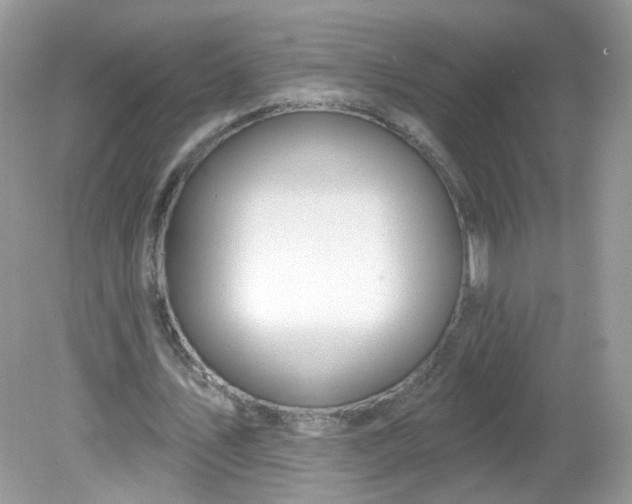 X0000081620579200701291455