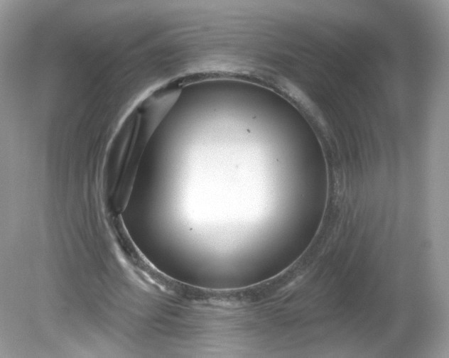 X0000081620580200701291455
