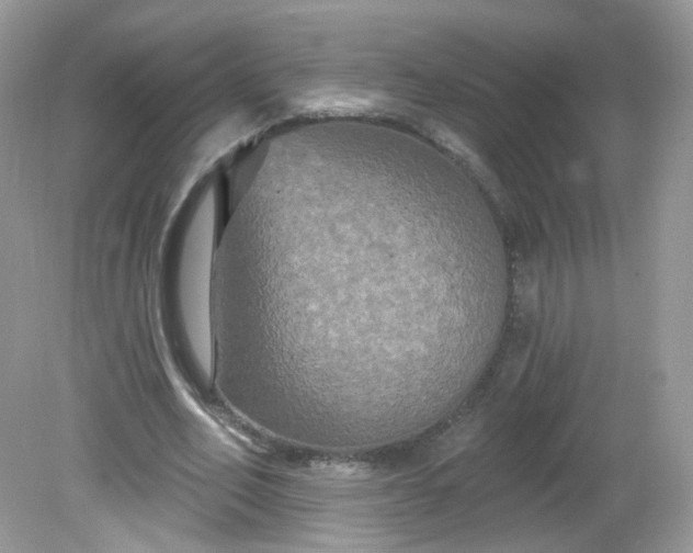 X0000081620582200701291455