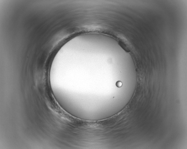 X0000081620583200701291455