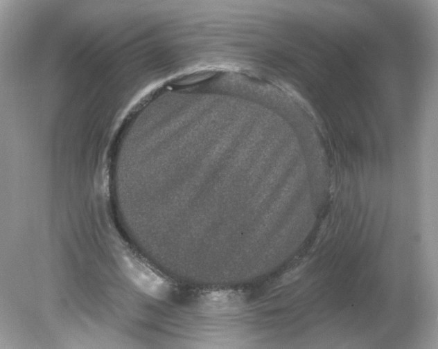 X0000081620584200701291455