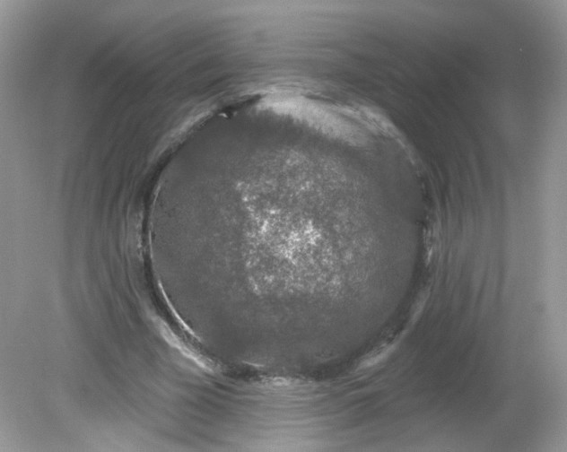 X0000081620585200701291455