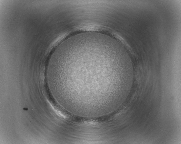 X0000081620586200701291455