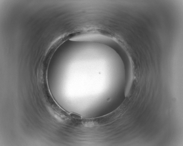 X0000081620587200701291455