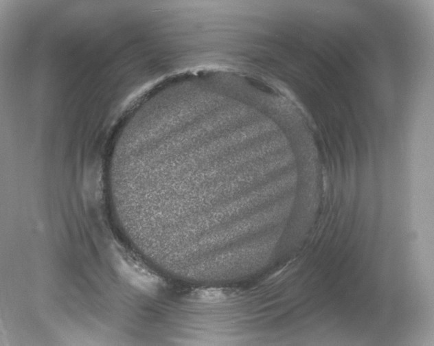 X0000081620588200701291455