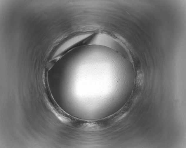 X0000081620589200701291455
