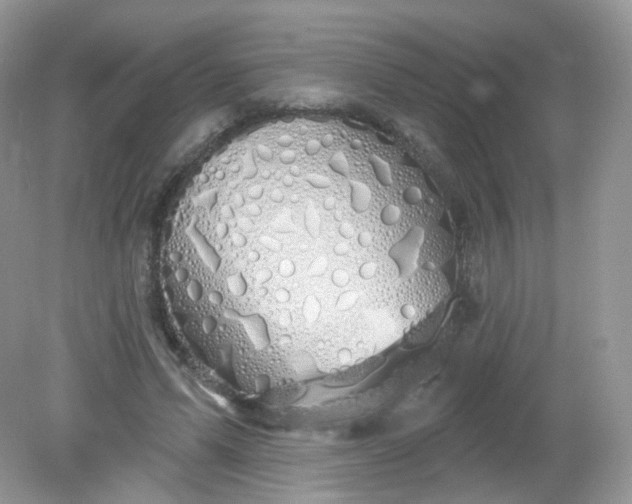 X0000081620591200701291455