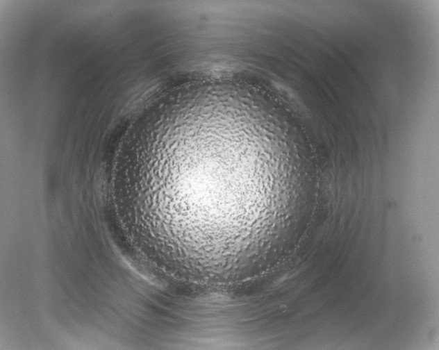 X0000081620594200701291455