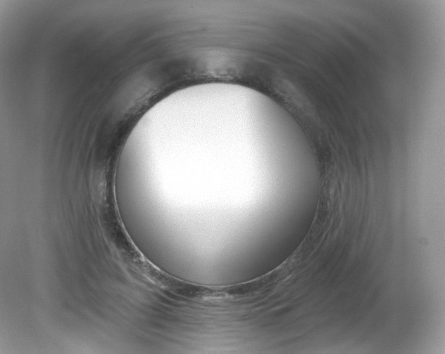 X0000081620595200701291455