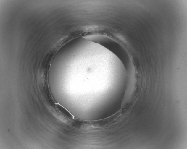 X0000081620597200701291455